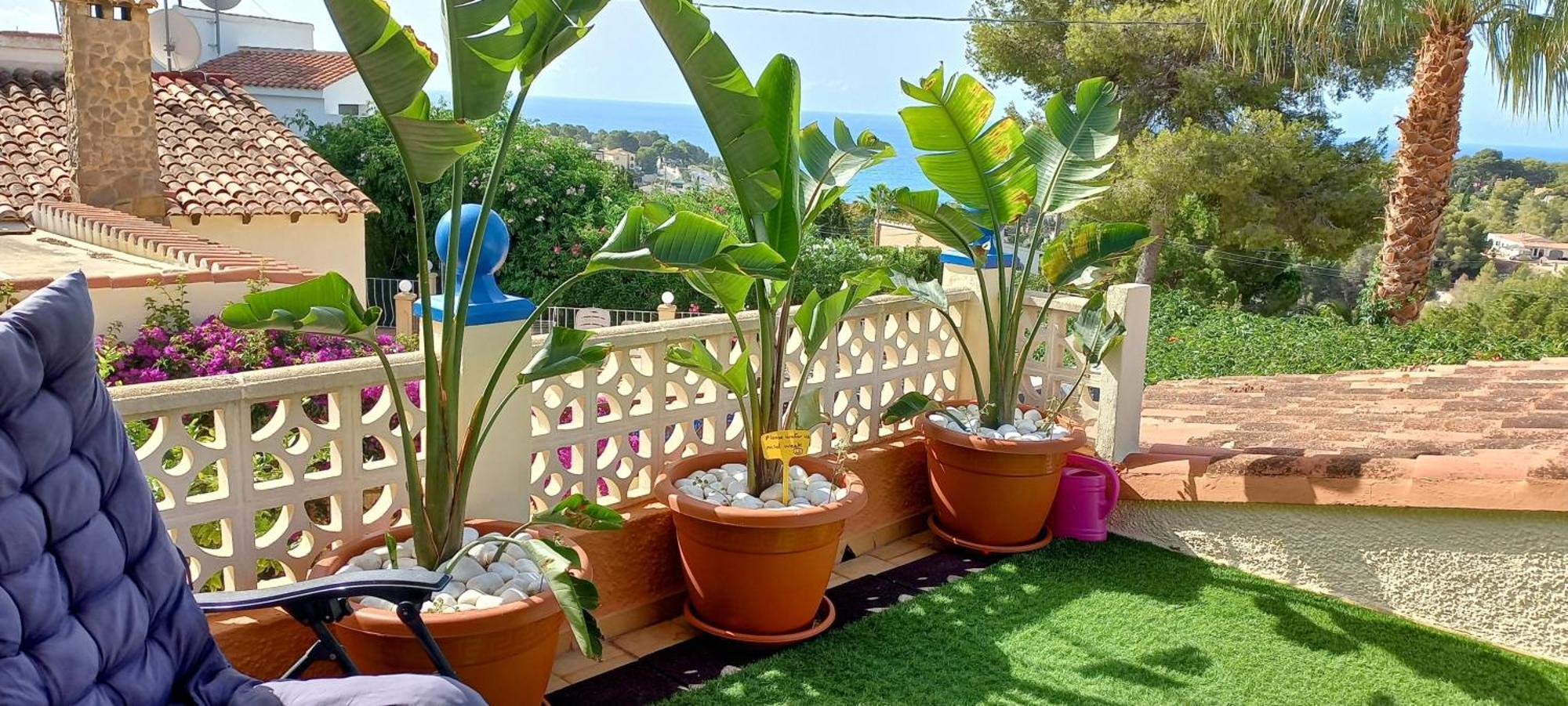 Villa Mimosa مورايرا المظهر الخارجي الصورة